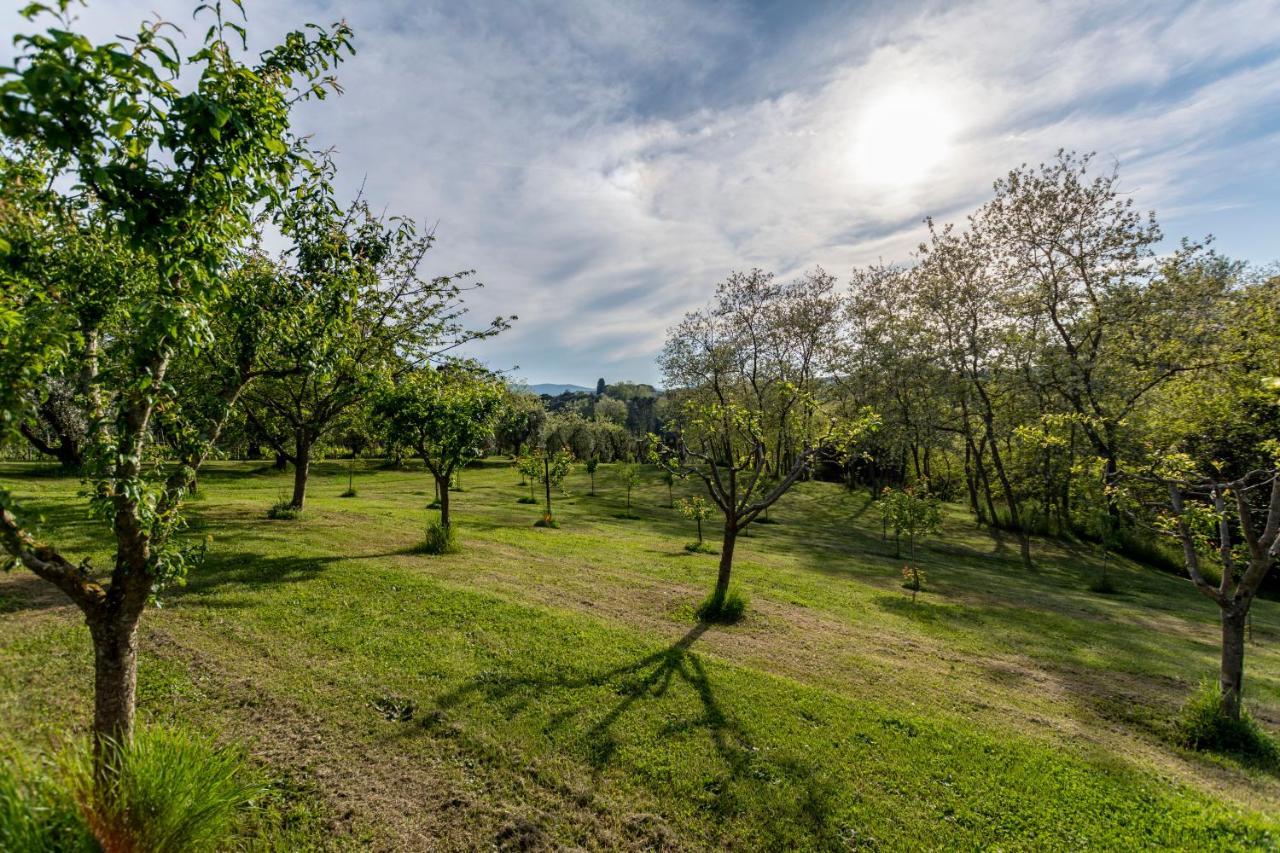 Podere Sant'Antonio Fauglia Eksteriør billede
