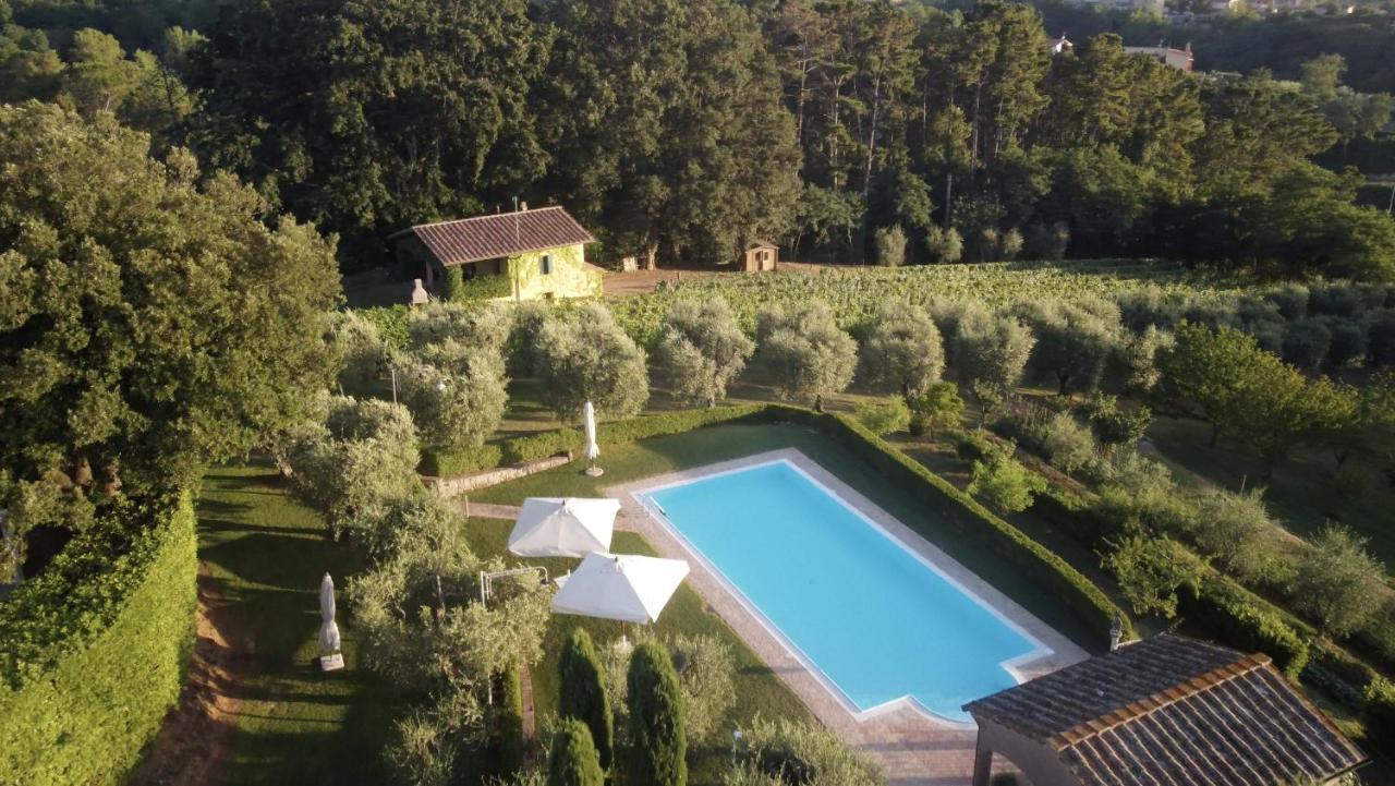 Podere Sant'Antonio Fauglia Eksteriør billede