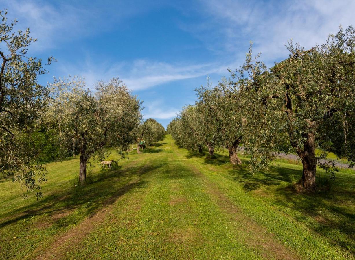 Podere Sant'Antonio Fauglia Eksteriør billede